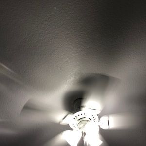 Meet your Posher, Annmarie